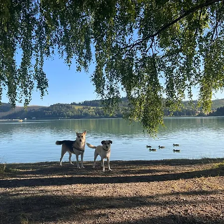 Dom Pri Masi - The Lakeside House